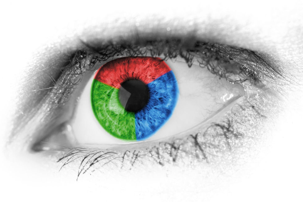Vision